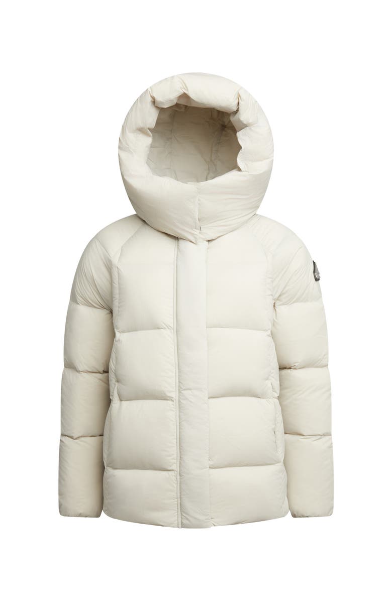 JACK1T Cloud Prime Hooded Down Jacket, Alternate, color, Stone/Sage