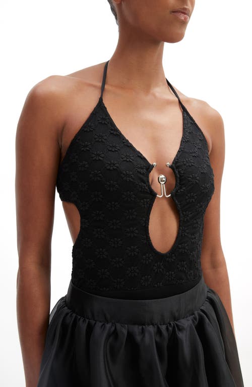 Bardot Rosala Halter Lace Bodysuit In Black