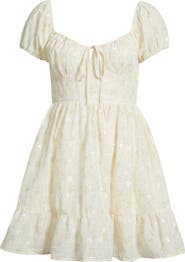 All in Favor Embroidered Sweetheart Neck Minidress