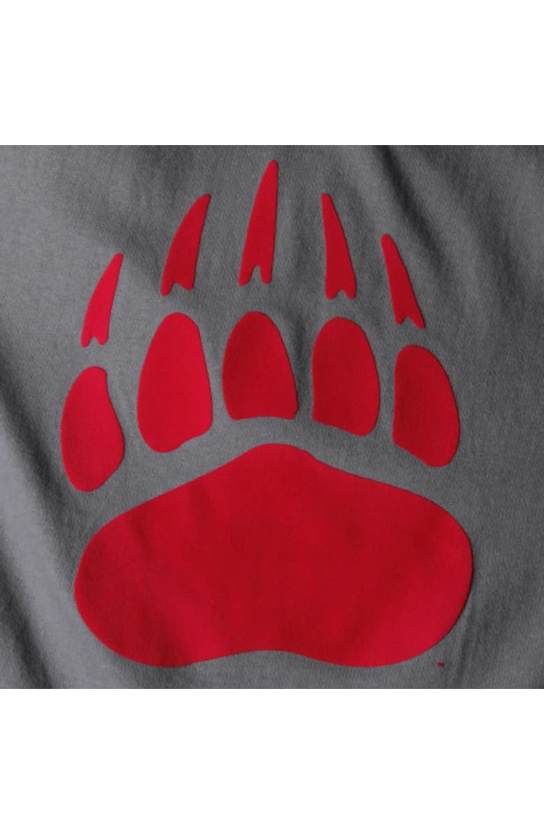 PRESSBOX Women's Pressbox Gray Montana Grizzlies The Big Shirt Oversized Long Sleeve T-Shirt, Alternate, color, 