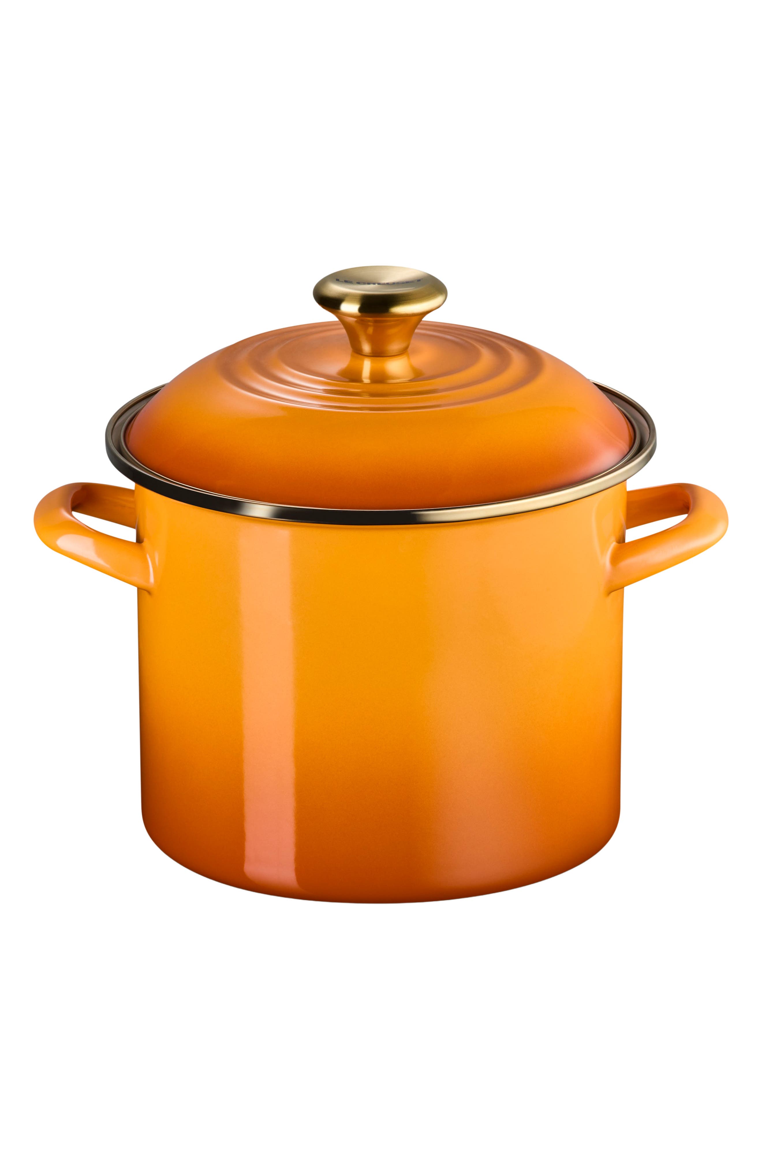 Le Creuset Enamel On Steel Stockpot In Orange