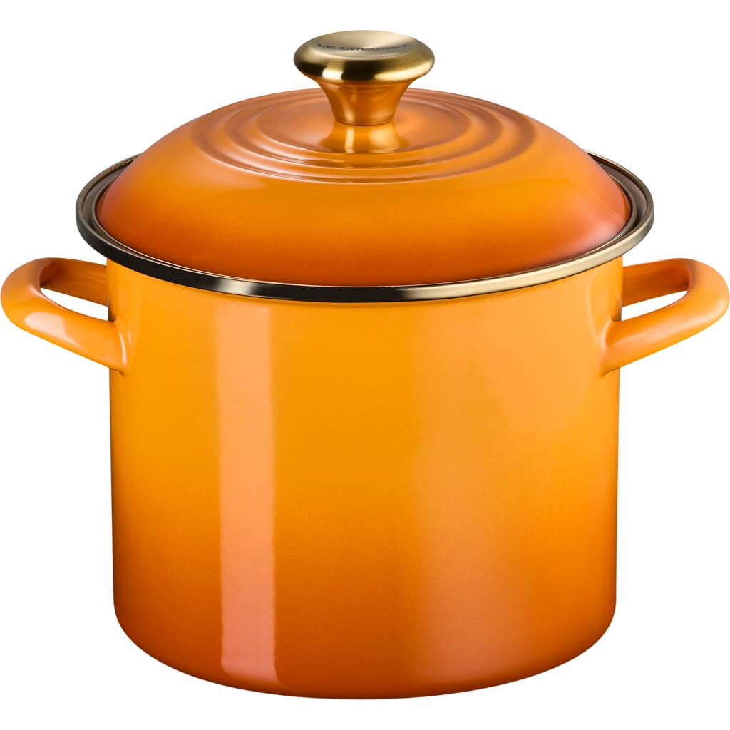 Le Creuset Enamel On Steel Stockpot In Orange