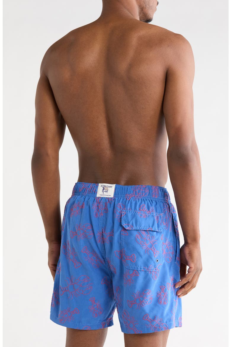 Endless Summer Embroidered Swim Shorts, Alternate, color, BLUE