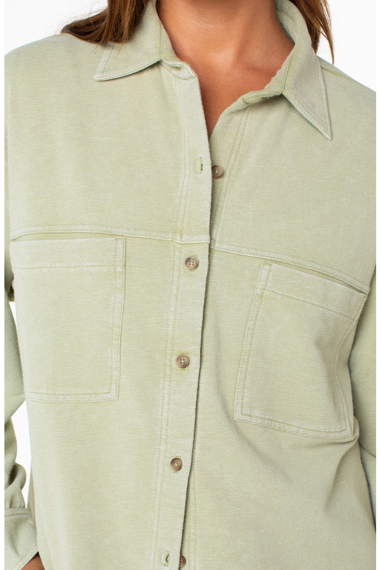 Dawn Light Button-Up Shirt, Alternate, color, SAGE
