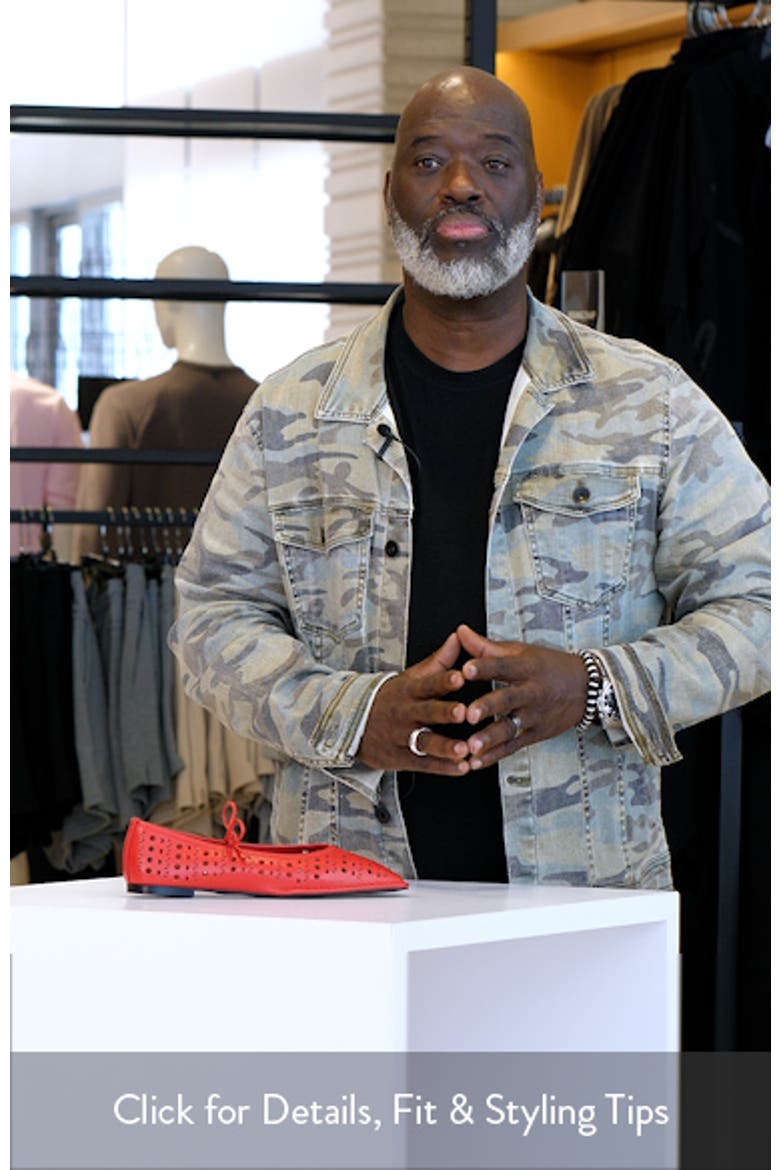 Sway Ballet Flat video
