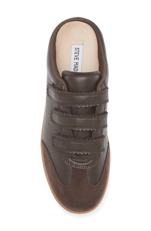 Steve Madden Memento Sneaker In Brown