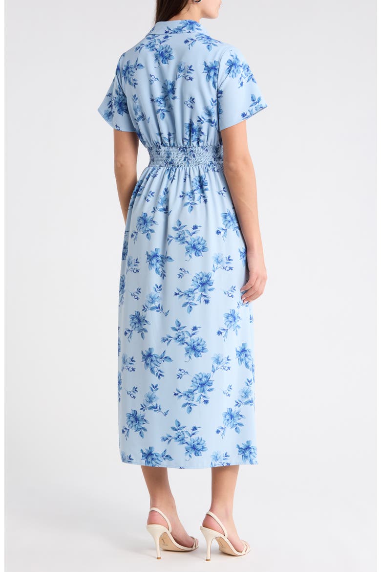 Marisy Collared Maxi Dress, Alternate, color, LIGHT-BLUE