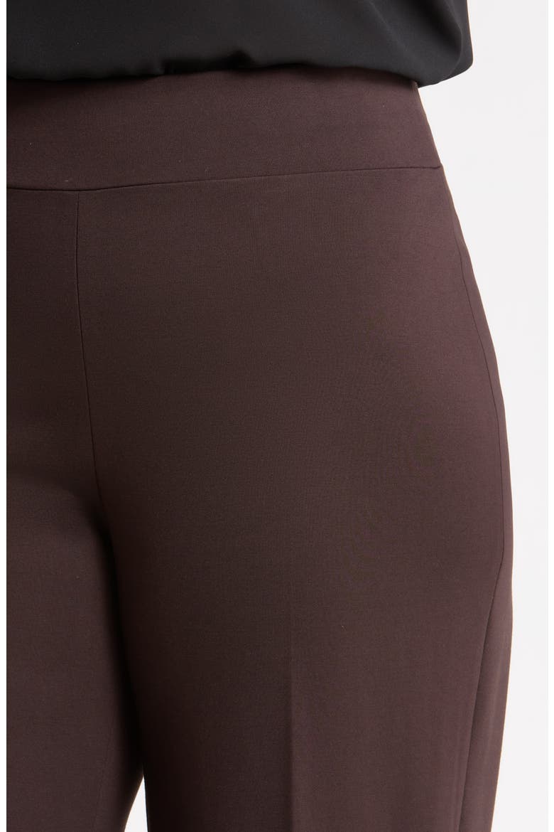 High Waist Wide Leg Pull-On Pants, Alternate, color, DEEP MAHOGANY
