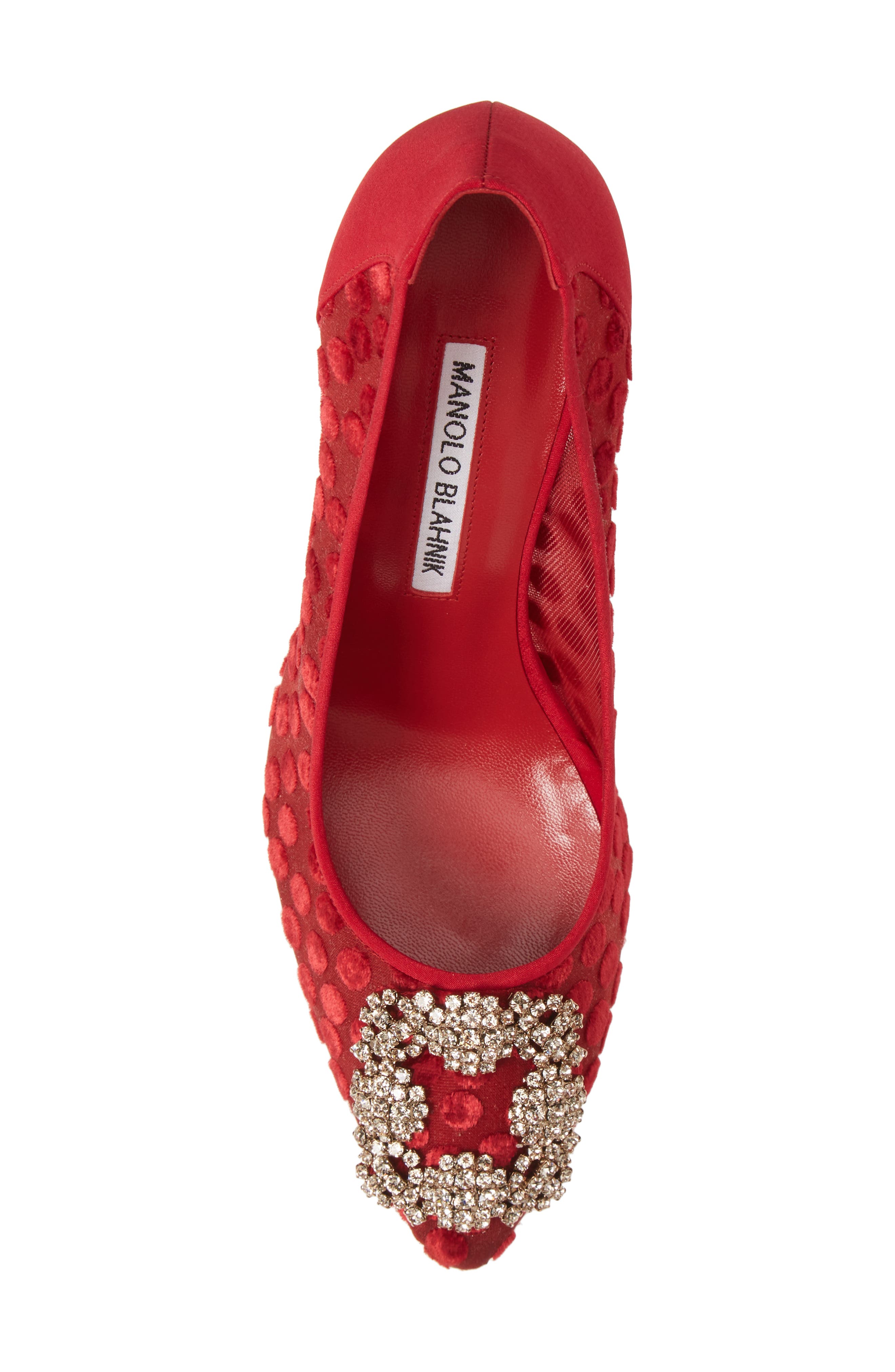 Manolo Blahnik Hangisi Pointed Toe Pump, Alternate, color, 