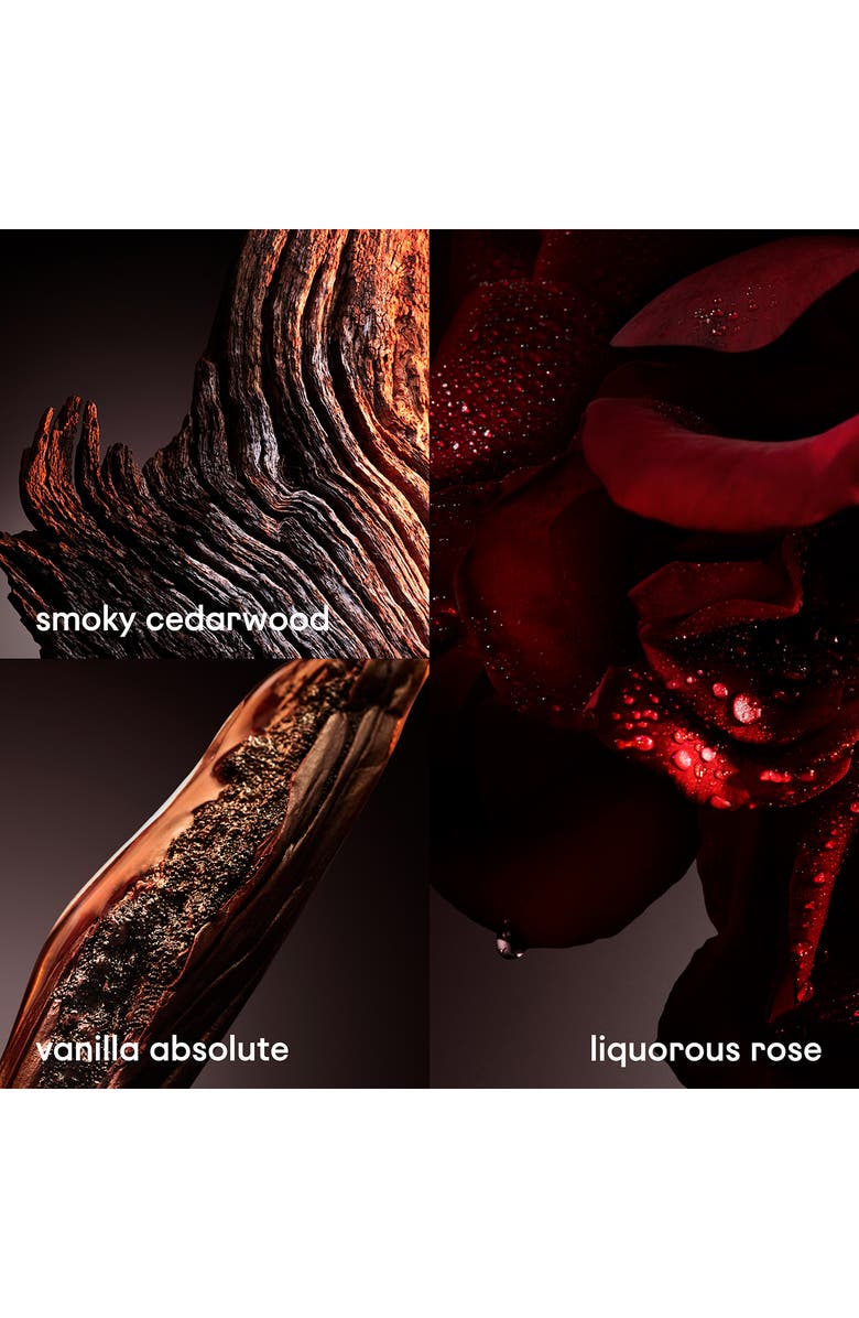 Rabanne 1 Million Elixir Parfum Intense, Alternate, color, 