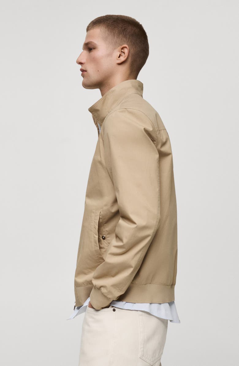 MANGO Lightweight Stand Collar Canvas Jacket, Alternate, color,