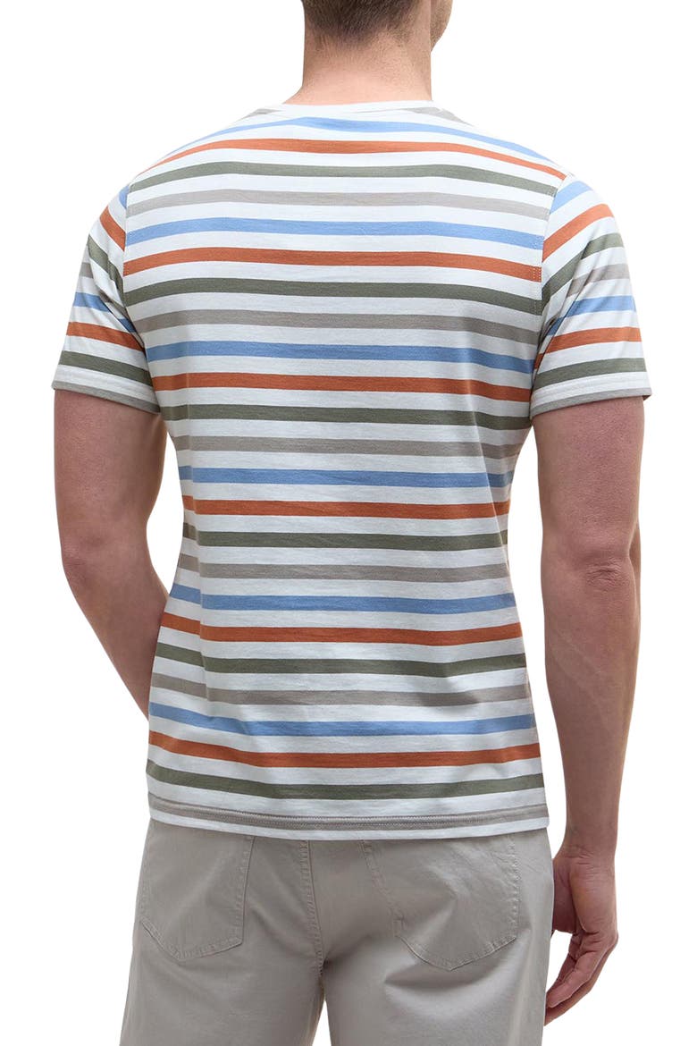 Rokeby Stripe Cotton T-Shirt, Alternate, color, WHISPER WHITE