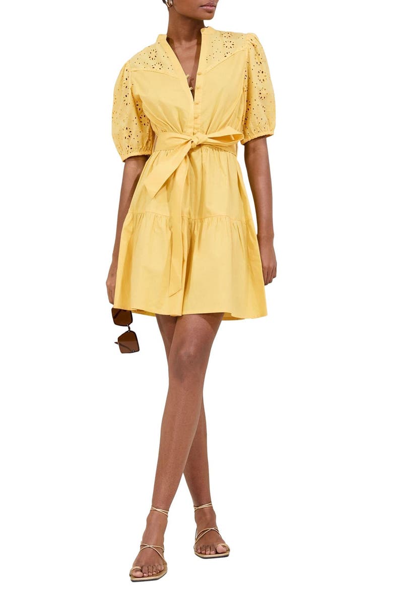 Broderie Belted Minidress, Main, color, YELLOW