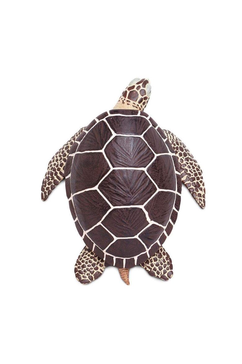 Sea Turtle Toy, Alternate, color, No Color