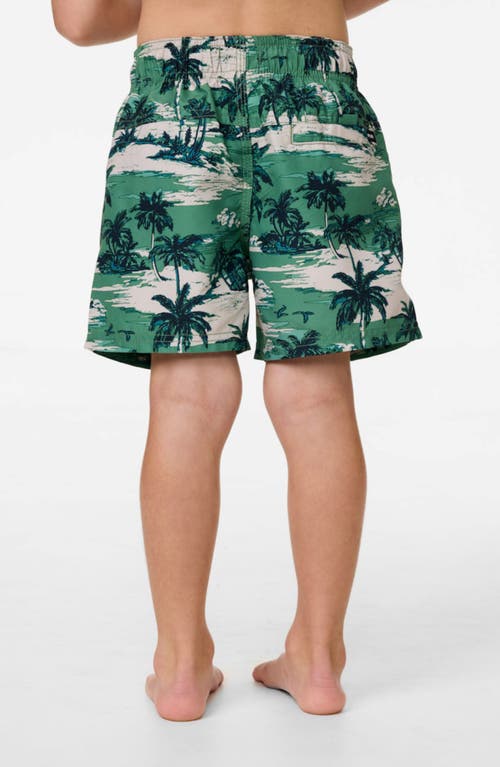 Rip Curl Kids' Dreamers Volley Shorts In Green