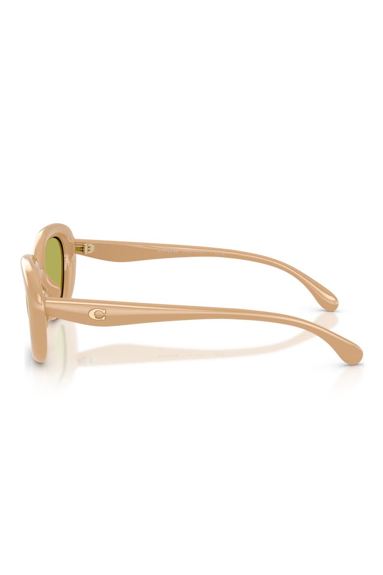 54mm Oval Sunglasses, Alternate, color, SOLID EGGSHELL / PISTACHIO SOLID