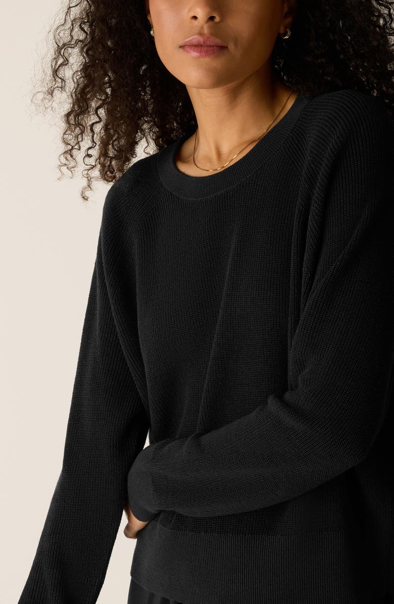 Eileen Fisher Crewneck Organic Linen & Organic Cotton Sweater, Alternate, color, Black