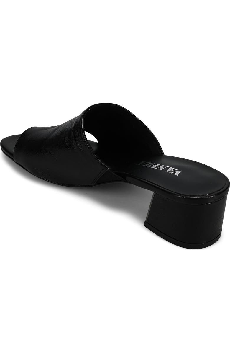 VANELi Cruz Toe Loop Sandal, Alternate, color, Black