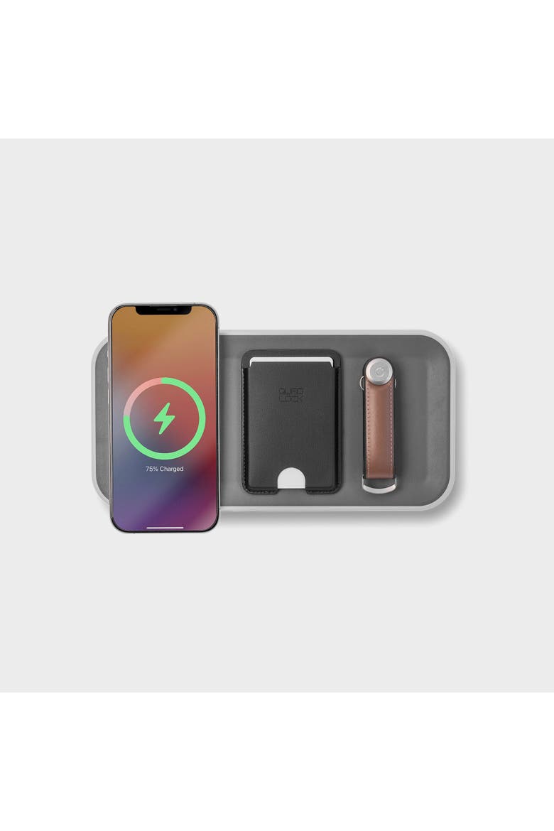 Nest v2, Alternate, color, Ash