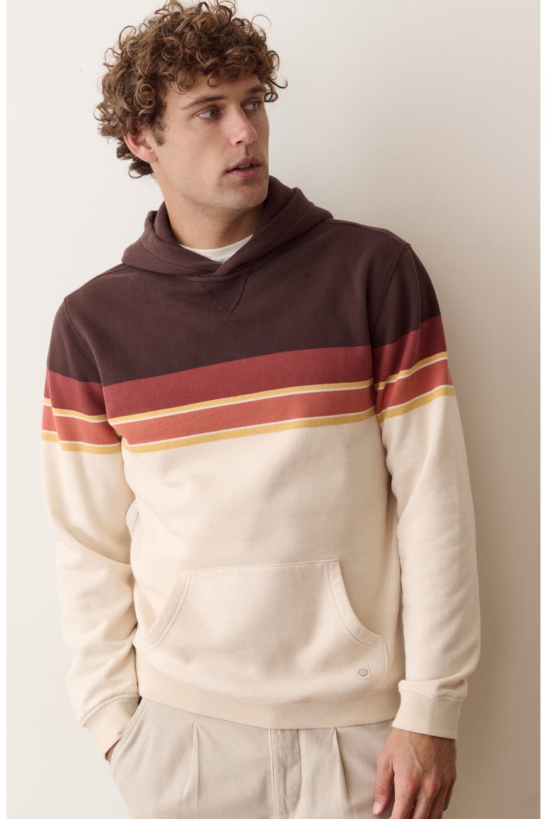 Relaxed Cloud 9 Colorblock Hoodie, Alternate, color, BROWN COLORBLOCK