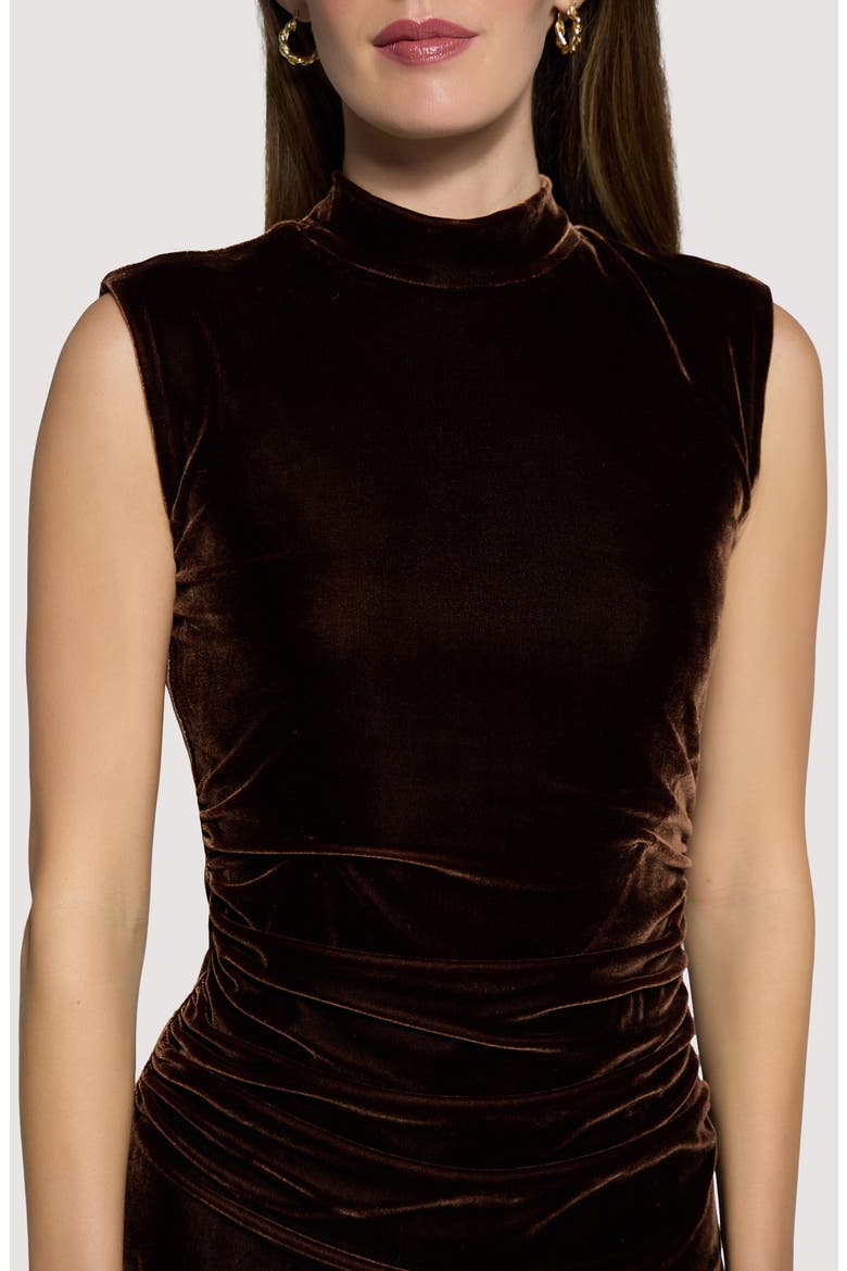 Woodland Hour Ruched Sleeveless Velvet Minidress, Alternate, color, BROWN