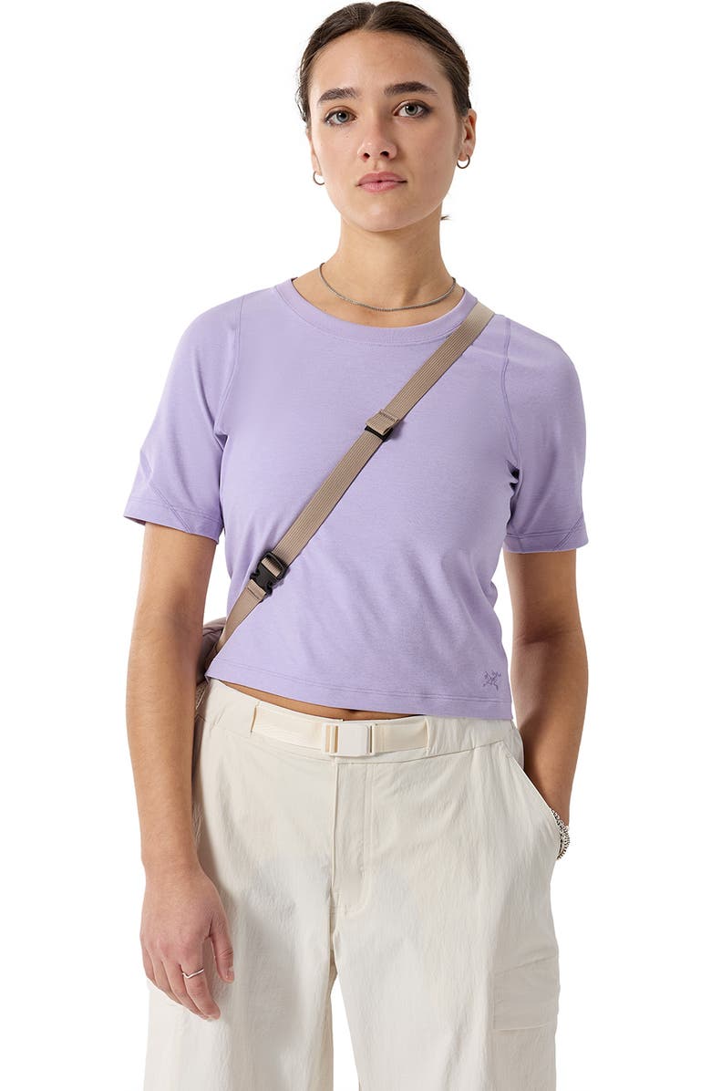 Arc'teryx Mantis 1 Recycled Polyester Belt Bag, Alternate, color, Rnsslt