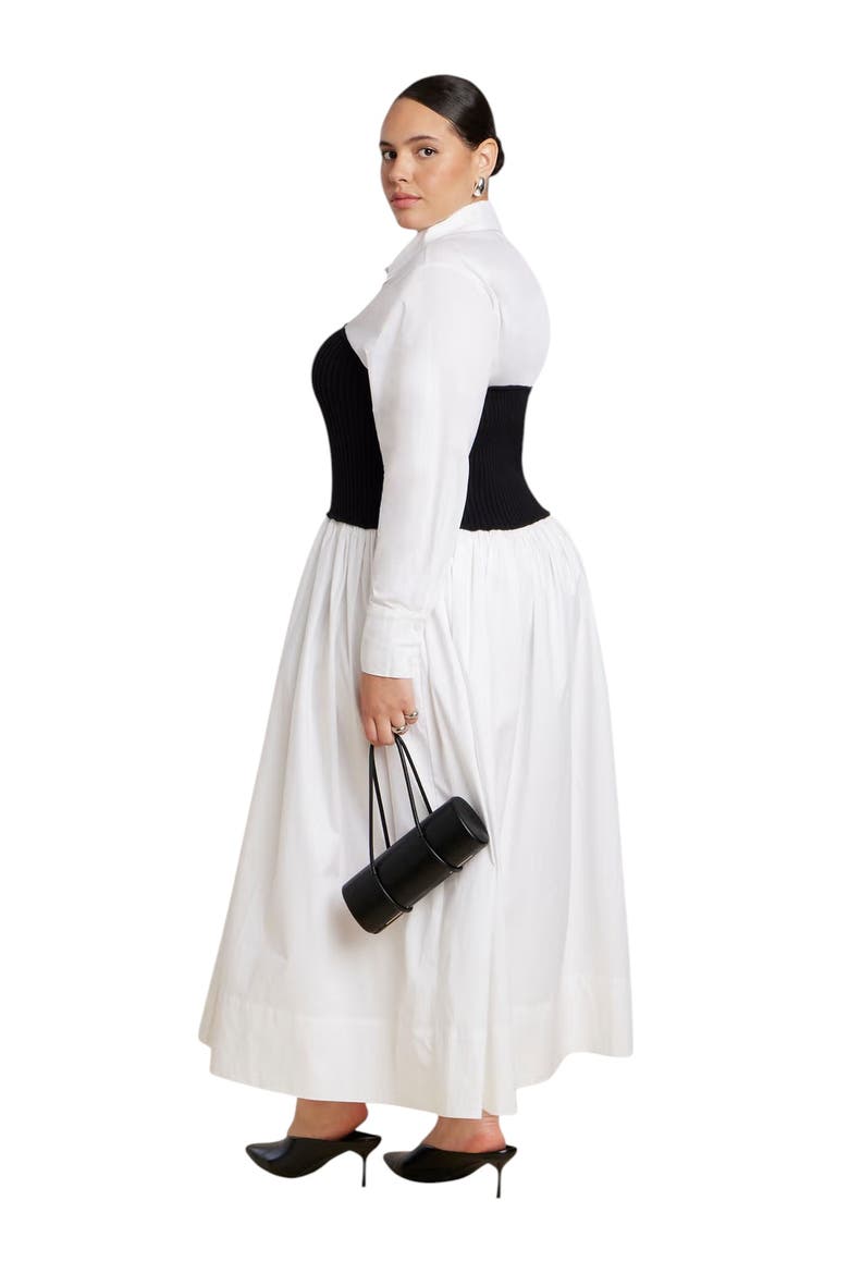 Sweater Twofer Shirt Dress, Alternate, color, WHITE BLACK