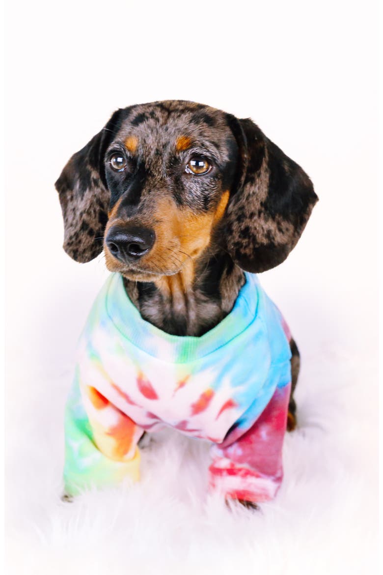 Rainbow Tie-Dye Dog Tee, Alternate, color, RAINBOW