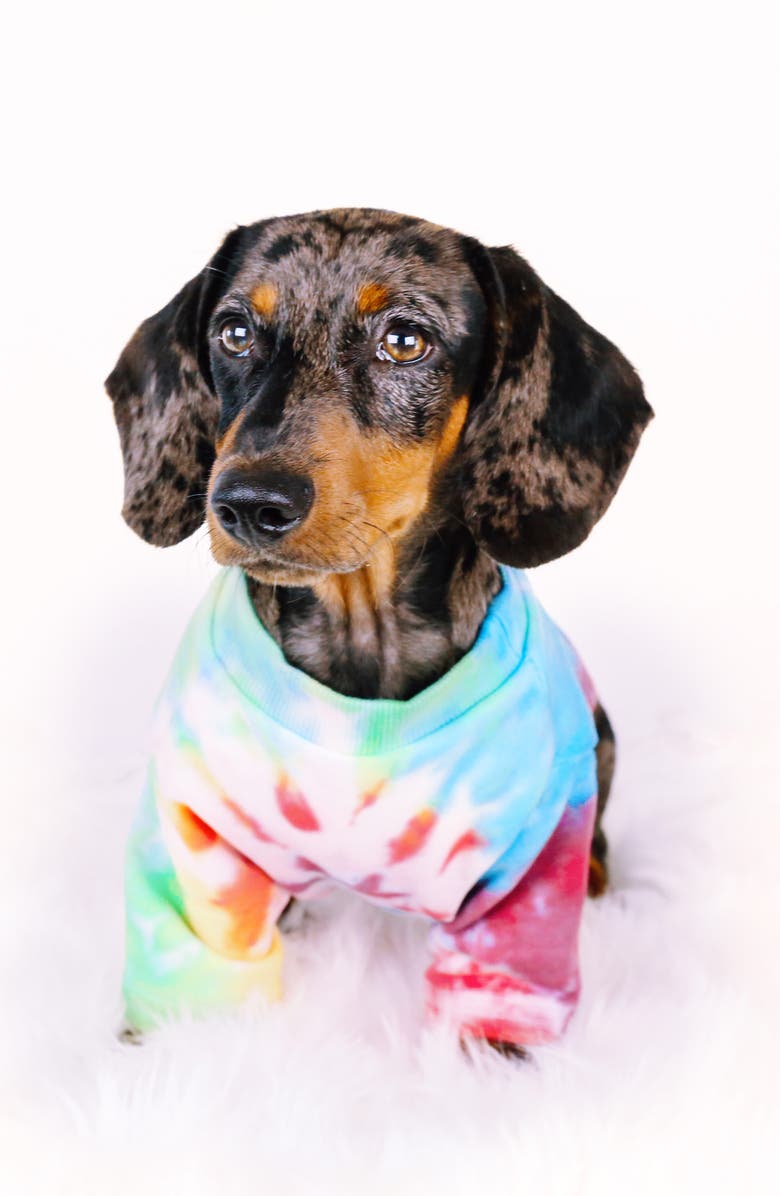 LoveThyBeast Rainbow Tie-Dye Dog Tee, Alternate, color,