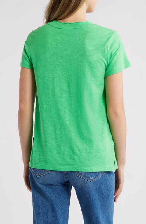 CASLONR CASLON(R) COTTON & MODAL V-NECK T-SHIRT