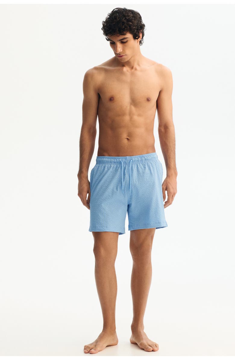 H&M Seersucker Swim Shorts, Alternate, color, Light Blue/Striped