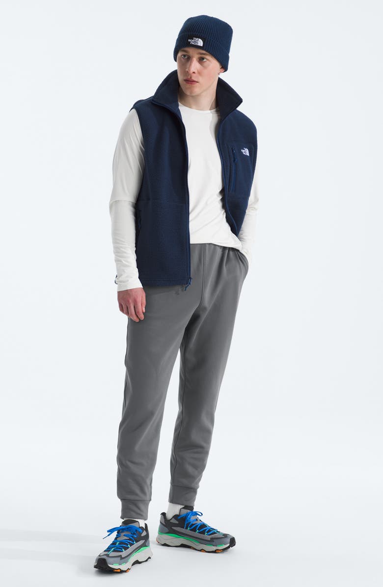 The North Face Performance Fleece Sweatpants, Alternate, color, Smoked Pearl