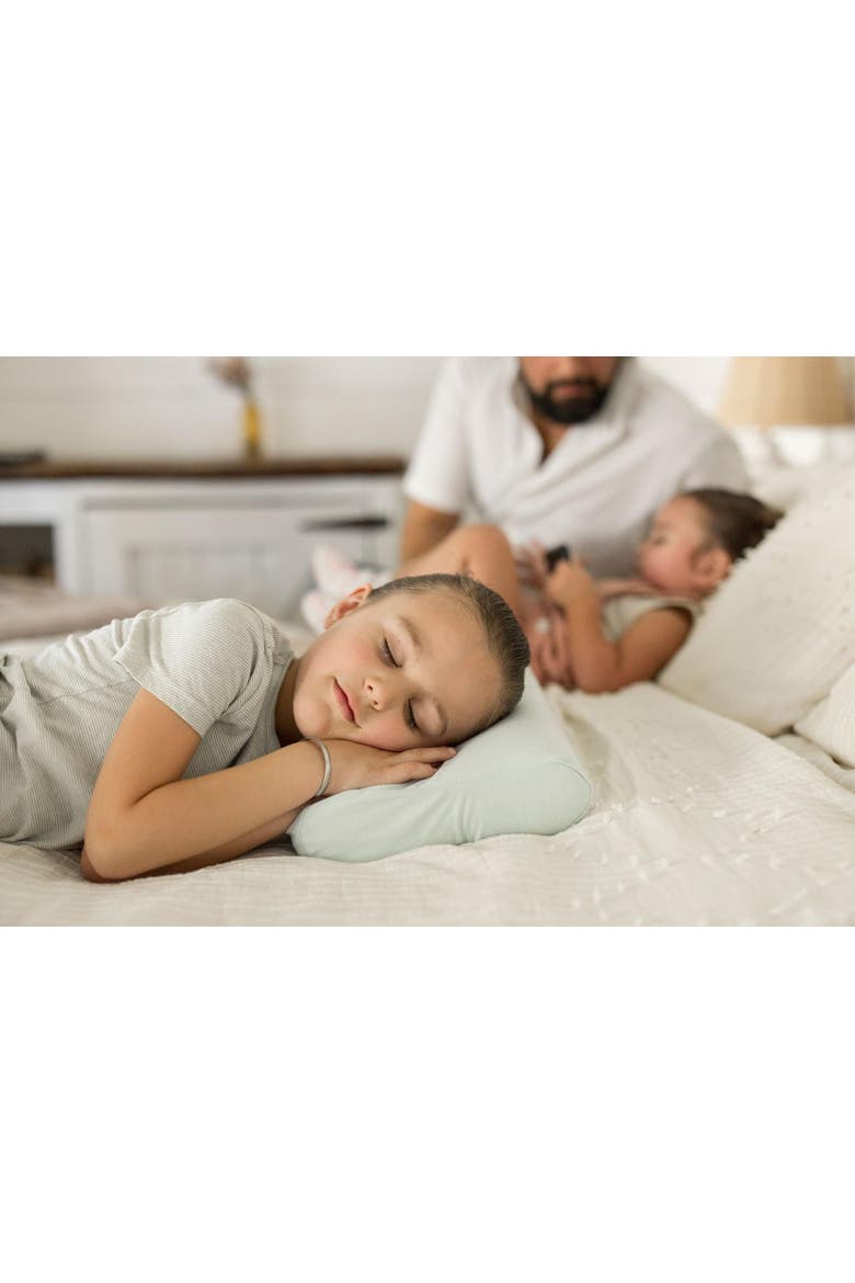 Ergonomic Memory Foam Pillow with Fitted Pillowcase, Alternate, color, Ice Blue