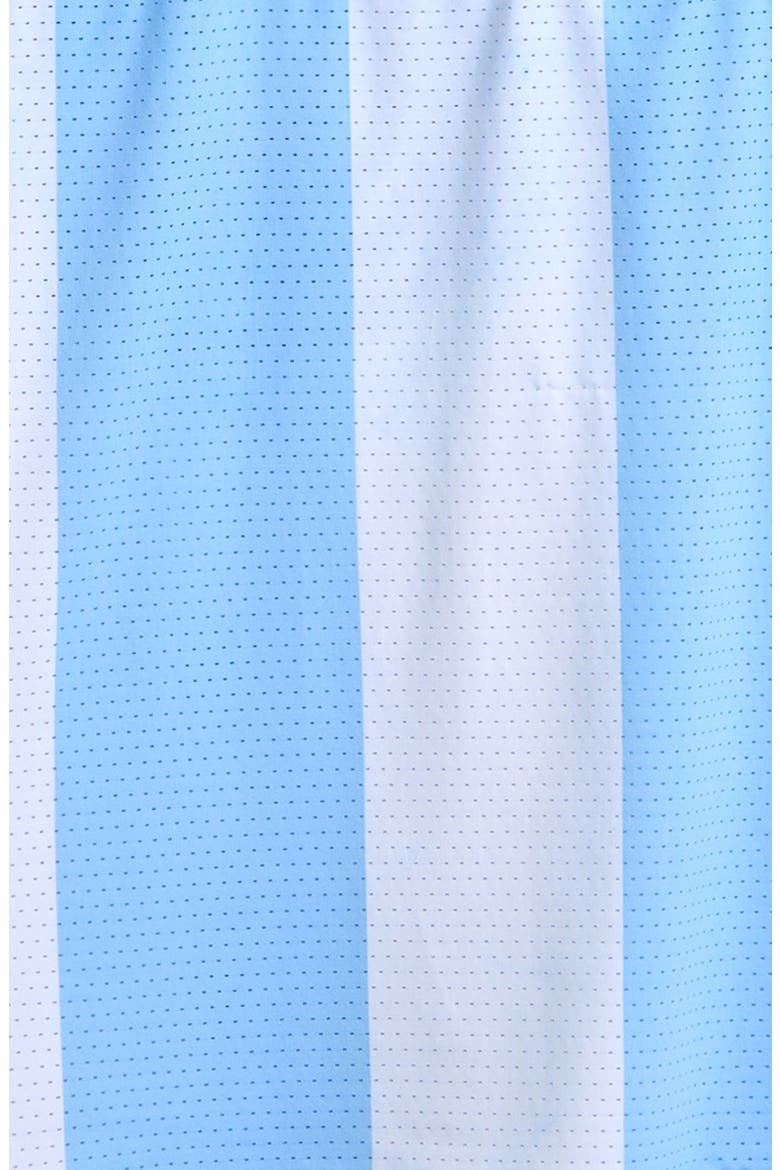 Kids' Argentina Jersey, Alternate, color, BLUE