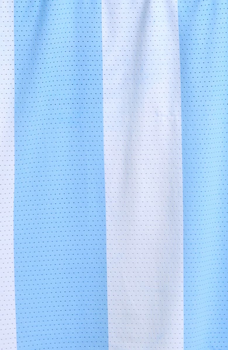 Voit Kids' Argentina Jersey, Alternate, color, Blue