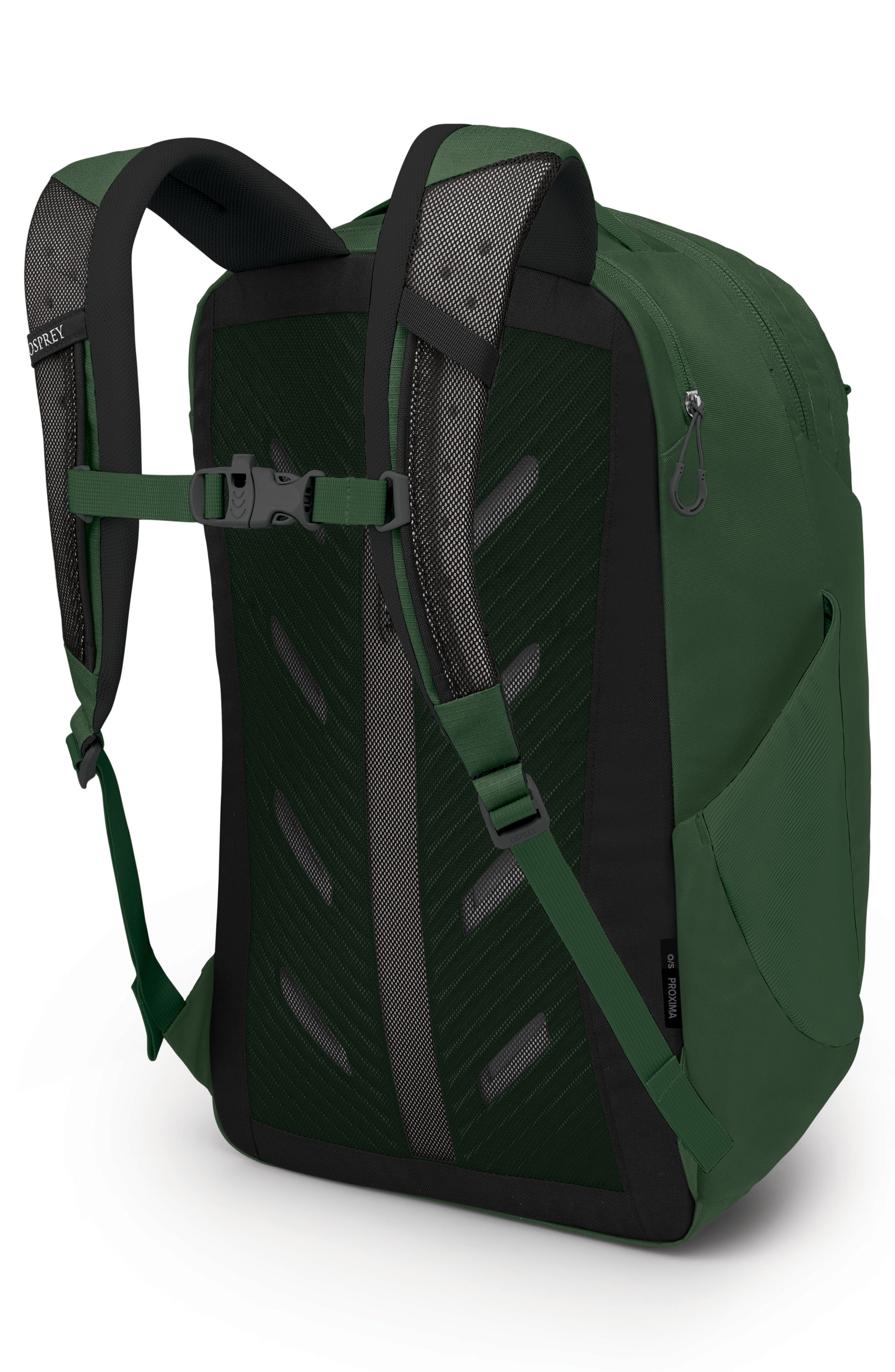 Osprey Proxima 30-Liter Campus Backpack, Alternate, color, 