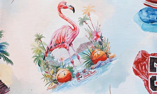 Jordan Kids' Flamingo Print T-shirt In White