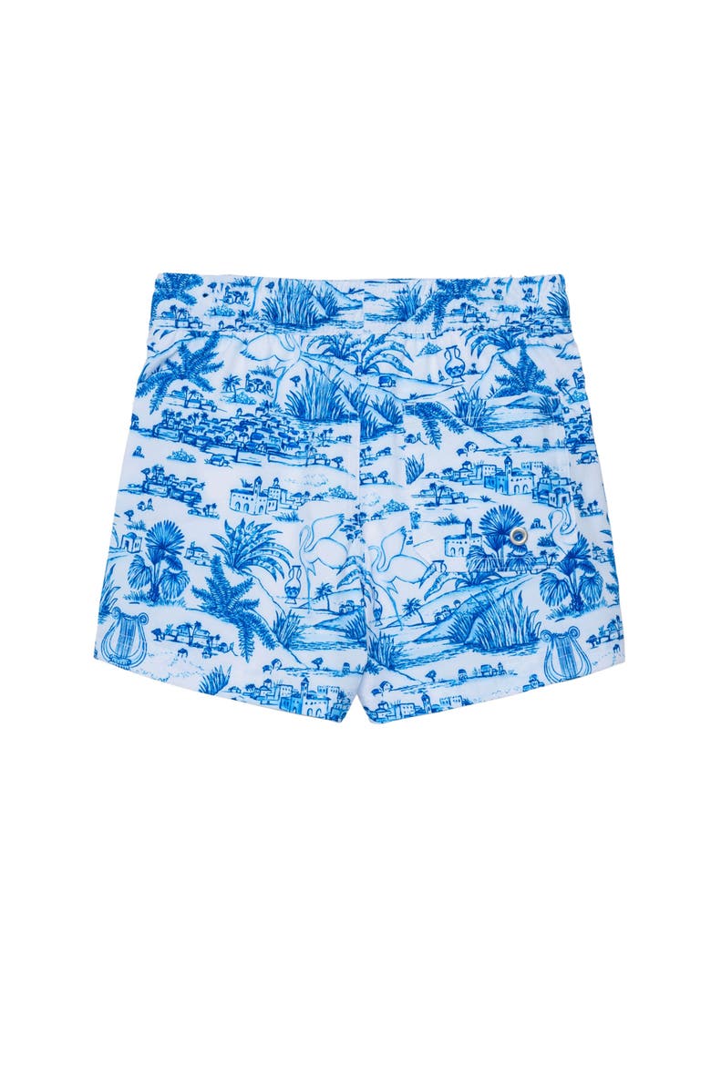 Summer Toile Drawstring Swim Shorts Swimsuit, Alternate, color, Blue-White