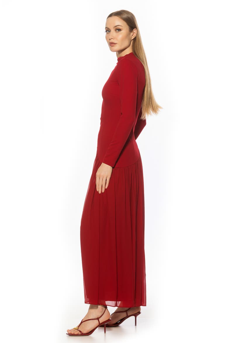 Dakota Long Sleeve Gown, Alternate, color, BURGUNDY