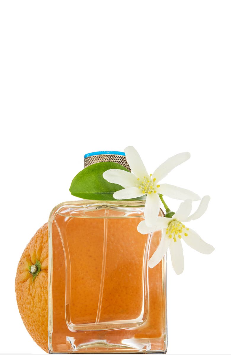 VERONIQUE GABAI Souvenirs de Tunisie Perfume, Alternate, color, 