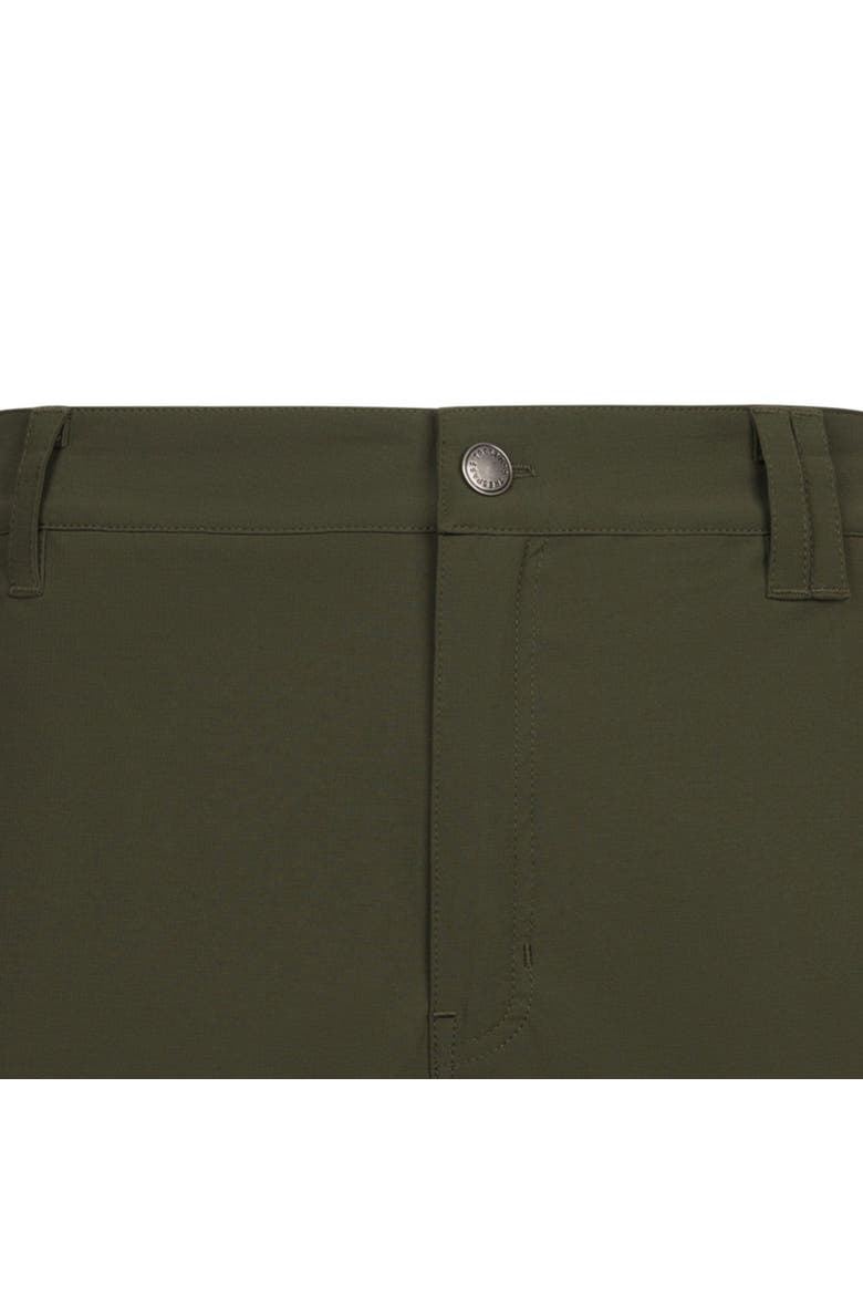 Dalham Shorts, Alternate, color, Dark Vine
