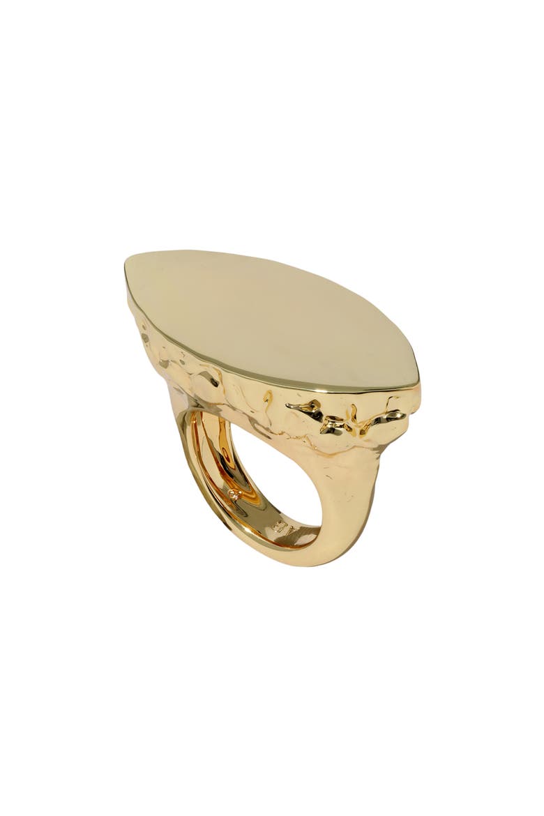 Brut 14k Gold Plated Sliced Ring, Main, color, GOLD