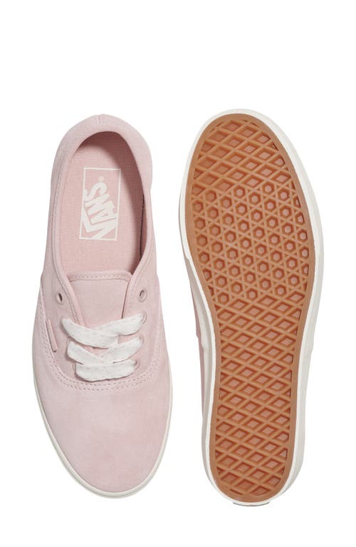 Vans Authentic Lowpro Sneaker In Pink