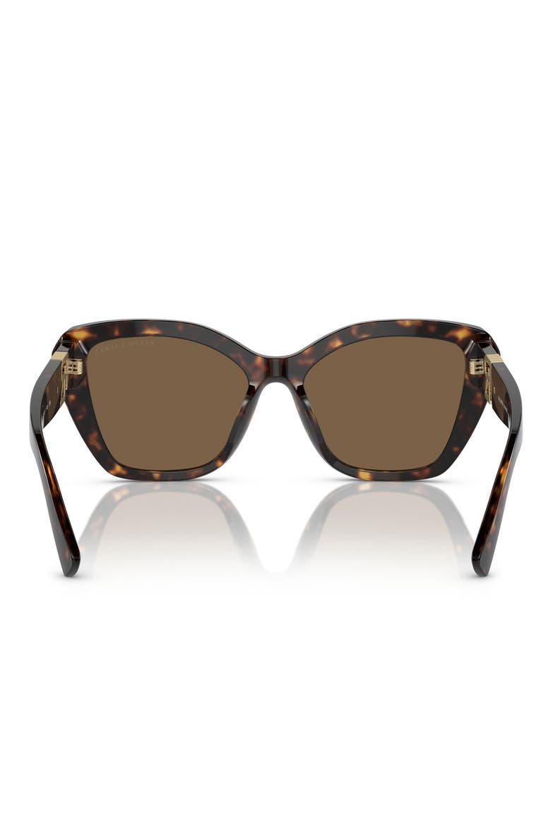 55mm Isabel Gradient Butterfly Sunglasses, Alternate, color, HAVANA / BROWN