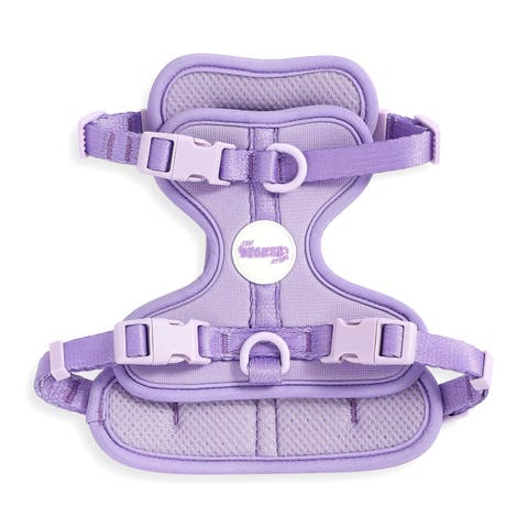 Arlo Adjustable Soft Padded No Pull Pet Harness with 3 Buckles and 3 Leash Clips