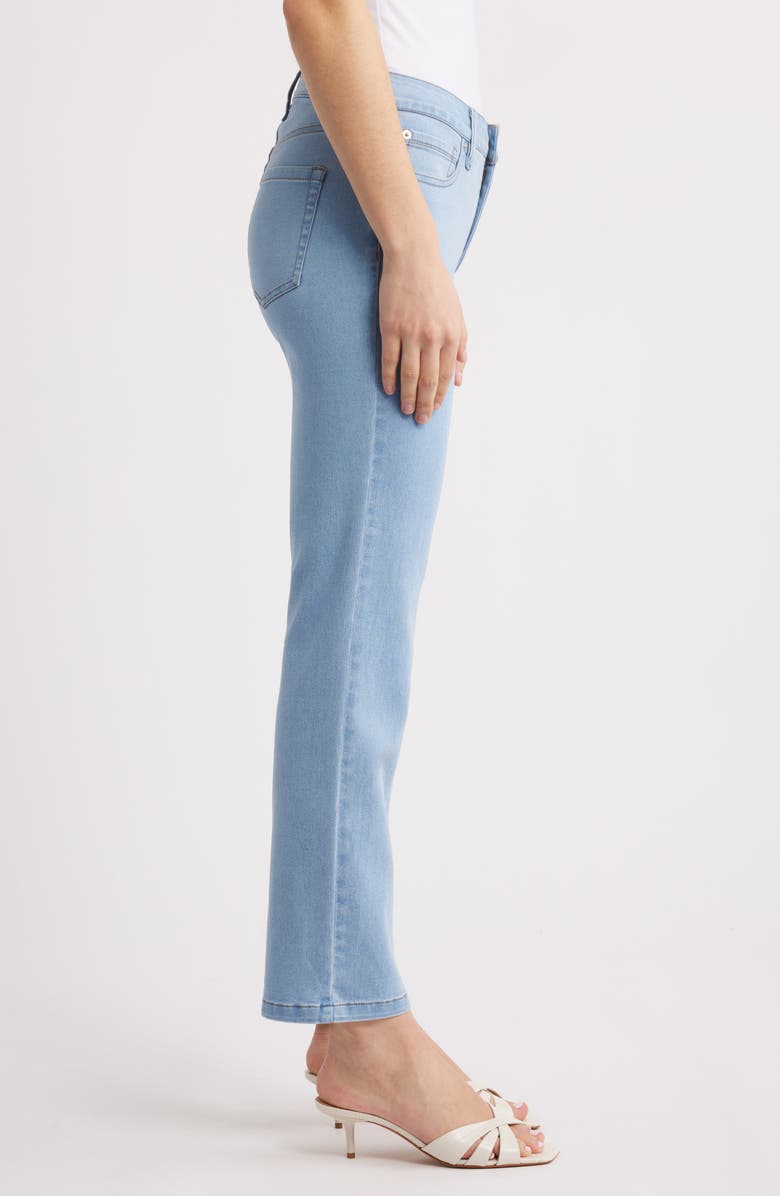 Anne Klein Ankle Slim Straight Leg Jeans, Alternate, color, 