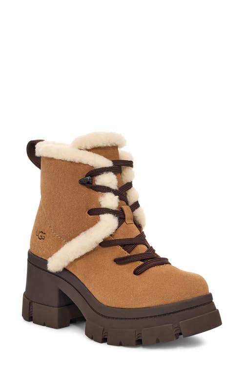 Ugg ® Brooklyn Water Resistant Hiker Boot With Genuine Shearling Trim In Chestnut