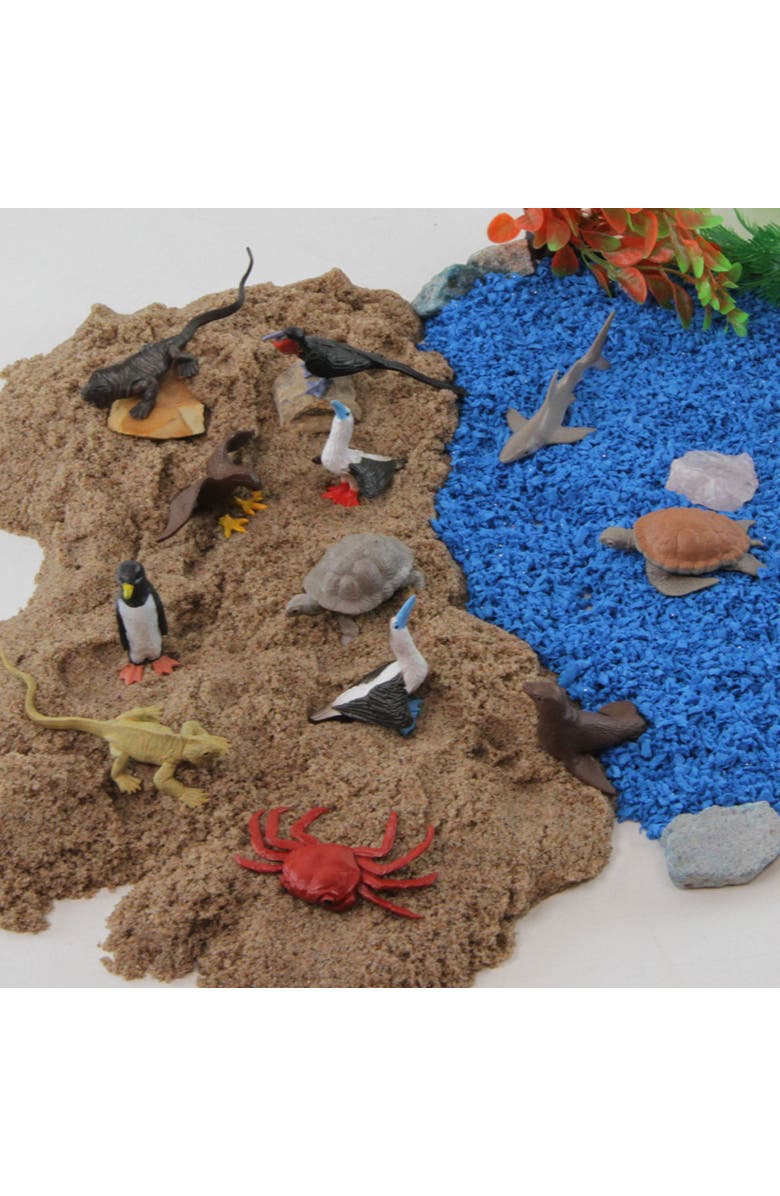 Safari Ltd. Galapagos Toy, Alternate, color, NO COLOR