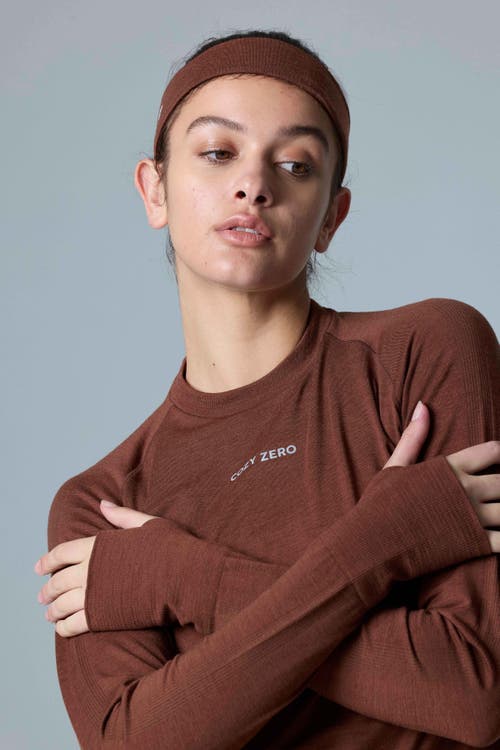 Cozy Zero Tech Merino Classic Fit Long Sleeve Top In Cappuccino