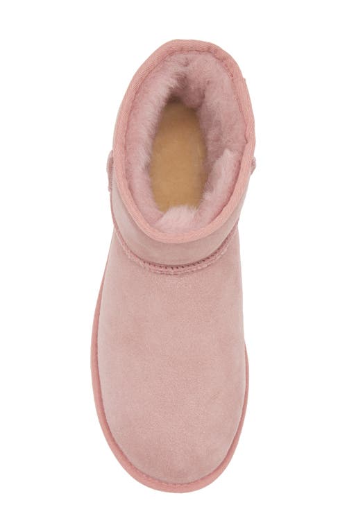 Ugg(r) Ugg Classic Mini Ii Genuine Shearling Lined Boot In Pink